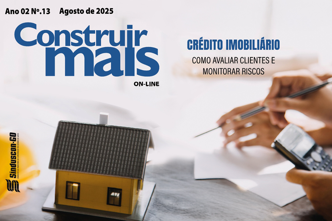 Informativo do Sinduscon-GO: Construir Mais on-line - Ano 2 Edição nº 13